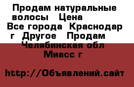 Продам натуральные волосы › Цена ­ 3 000 - Все города, Краснодар г. Другое » Продам   . Челябинская обл.,Миасс г.